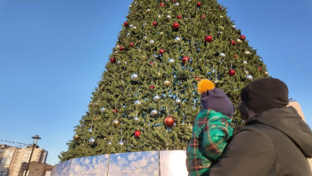 30 локаций Липецка оформят к новогодним праздникам