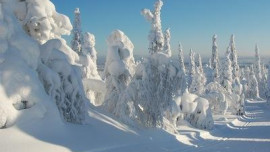 В Липецке откроют три лыжные трассы