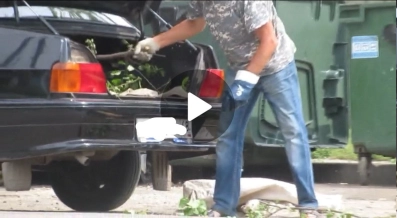 Фото –&nbsp;Telegram-канал «ЭКО-невидаль»