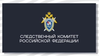 В Лебедяни возбуждено уголовное дело против учителя начальных классов