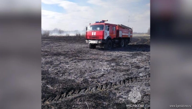 В Липецкой области на 3 месяца ввели противопожарный режим в лесах