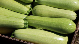 Липецкие фермеры поставляют свою продукцию на прилавки магазинов