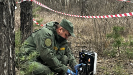 Скелет человека нашли в деревне Измайловке Липецкой области