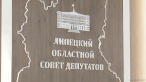 Почти на 7 миллиардов рублей увеличиваются расходы бюджета Липецкой области