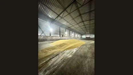 В Липецкой области фермер вернулся из поездки и обнаружил пропажу 132 тонн ячменя 