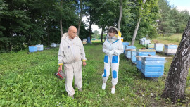 Корреспонденты «Липецкого времени» побывали на пасеке