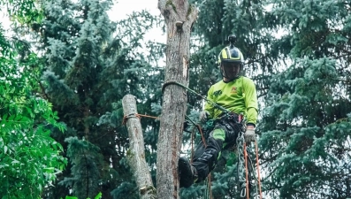 Лучшие специалисты по деревьям соберутся на фестивале арбористов в усадьбе Рязанка Липецкой области