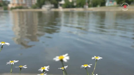 В Комсомольском пруду в ночь на 8 мая начнут техническое наполнение для проверки гидротехники