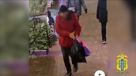 Житель Липецка предстанет перед судом за кражу сумки у пенсионерки в новогоднюю ночь