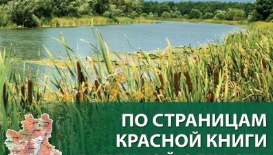 Вышел в свет сборник «По страницам Красной книги Липецкой области»