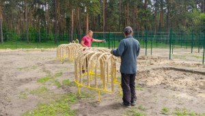 В Липецке появятся сразу две новые площадки для выгула собак