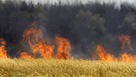 Огнеборцы устранили пожар на пшеничном поле