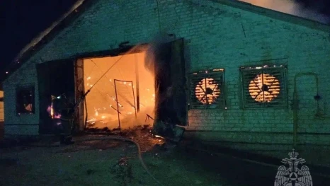 6 тысяч птиц погибло в пожаре в Липецкой области