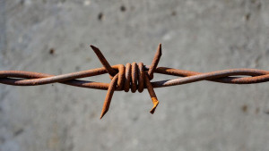 Липчанка предстанет перед судом за организацию сети наркозакладок