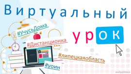 Для липецких школьников проведут виртуальные уроки