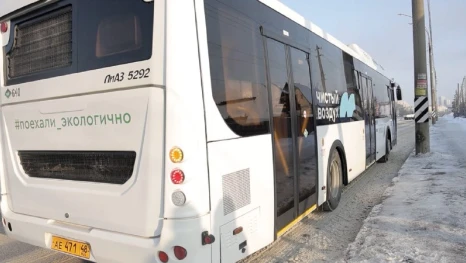 В Липецке рассматривают проект запуска общественного транспорта по улице Папина