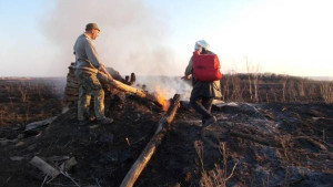 Облсовет утвердил выплату добровольным пожарным в 100 тысяч рублей