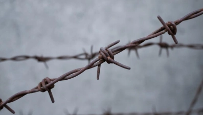 Трое подростков в Грязинском районе предстанут перед судом за кражу мопеда