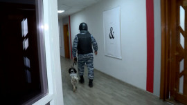 В Ельце будут судить мужчину за ложные звонки о минировании