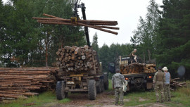 Липецкие лесхозы отправили на нужды СВО почти 1700 кубометров древесины