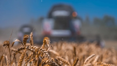 Липецкая область отправила за границу более 1,5 млн тонн сельхозпродукции