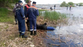 Рыбак утонул на реке Воронеж