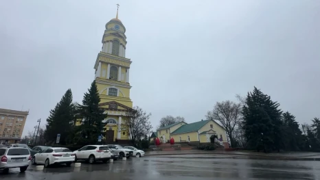 В Христорождественский собор Липецка доставили ковчег с иконой Паисия Святогорца