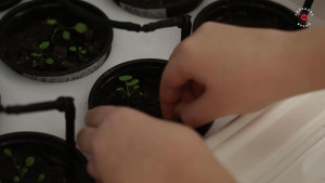 В Тербунском районе Липецкой области откроют первый в муниципалитете агротехкласс