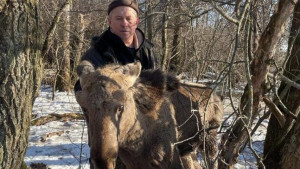 Липецкие инспекторы спасли лосёнка, попавшего в ледяное болото