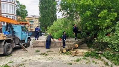 В выходные дни в Липецке ликвидировали последствия сильного ветра