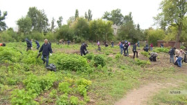 На Силикатных озерах уборку совместят с фестивалем