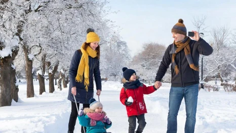 Больше 3,5 тысяч семей Липецкой области улучшили жилищные условия с помощью маткапитала