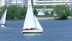 Соревнования по водным видам спорта прошли в Липецке