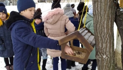 Липчанам предлагают накормить птиц