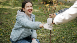 Новый «зеленый» рекорд: волонтеры НЛМК высадили 3400 деревьев в Липецке