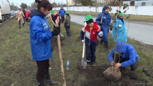 100 тополей высадили на Металлургов в Липецке