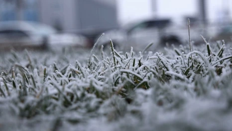 Мокрый снег ожидается в Липецкой области