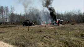 Для липчан ограничили въезд в леса