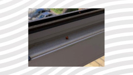 В Липецке мужчина обстрелял чужой балкон из пневматики 