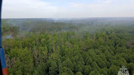 Активная площадь горения в Усманском районе не превышает 100 кв. м.