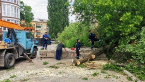 В выходные дни в Липецке ликвидировали последствия сильного ветра