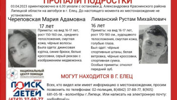 В Краснинском районе Липецкой области пропали двое подростков