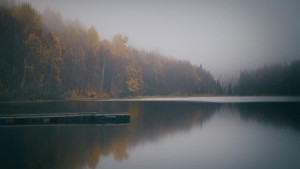 Дождь и туман обещают синоптики