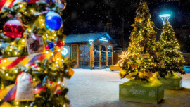 В регионе подвели итоги фестиваля «Ёлки Липецкой Земли» 