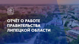 Отчет о работе правительства Липецкой области за 2024 год