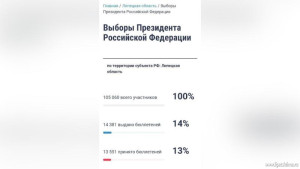 В Липецкой области проголосовало 13% избирателей, которые зарегистрировались в ДЭГ