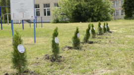 Аллея памяти погибшего в зоне СВО Данила Рущинского заложена в Липецкой области 