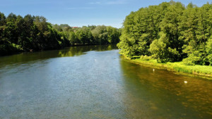 12 человек погибли в водоёмах Липецкой области с начала купального сезона