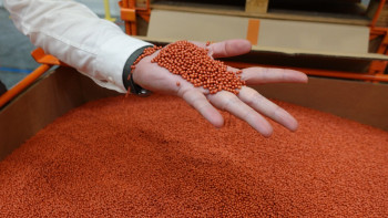 Новый сезон производства семян сахарной свеклы стартовал у резидента ОЭЗ «Липецк»