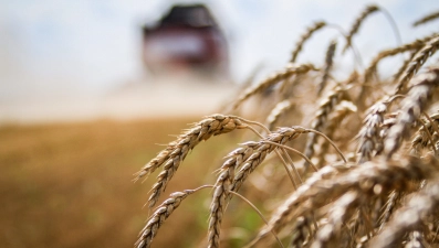 Липецкая область примет участие в Первом Всероссийском аграрном диктанте